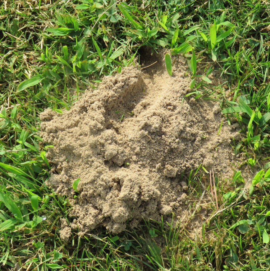 ckillerburrow16-07-23_7139