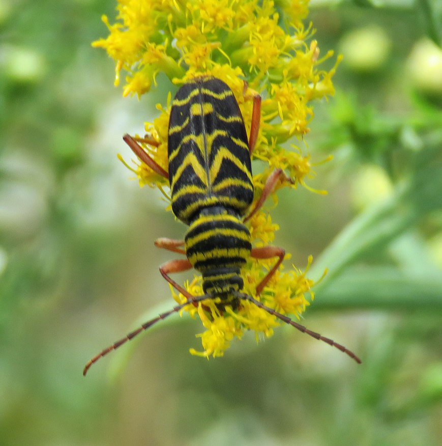 locborder16-09-22_0236