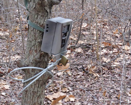 lpzcamera17-01-24_8092